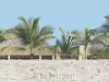 Don Juan 12